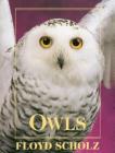 Owls Cover Image