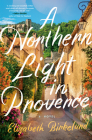 A Northern Light in Provence: A Novel By Elizabeth Birkelund Cover Image