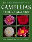 The Illustrated Encyclopedia of Camellias Cover Image