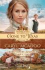 Gone to Texas: Book One Cross Timbers Family Saga Cover Image