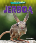 Jerboa By Rachel Rose Cover Image