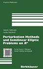 Perturbation Methods and Semilinear Elliptic Problems on R^n (Progress in Mathematics #240) By Antonio Ambrosetti, Andrea Malchiodi Cover Image