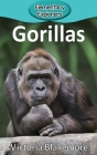 Gorillas (Elementary Explorers #70) By Victoria Blakemore Cover Image