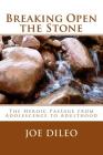 Breaking Open the Stone: The Heroic Passage from Adolescence to Adulthood By Joe DiLeo Cover Image