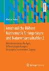 Anschauliche Höhere Mathematik Für Ingenieure Und Naturwissenschaftler 2: Mehrdimensionale Analysis, Differenzialgleichungen: Ein Graphisch Orientiert Cover Image