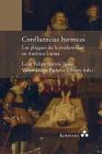 Confluencias barrocas. Los pliegues de la modernidad en América Latina Cover Image