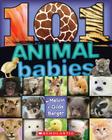 101 Animal Babies Cover Image