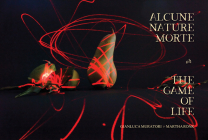 Alcune Nature Morte or the Game of Life By Martha Ronk, Gianluca Muratori (Photographer) Cover Image