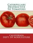 Caterpillars Destructive to Tomatoes By Roger Chambers (Introduction by), California Dept of Agriculture Cover Image