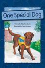 Steck-Vaughn Pair-It Books Proficiency Stage 6: Leveled Reader Bookroom Package One Special Dog Cover Image