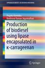 Production of Biodiesel Using Lipase Encapsulated in κ-Carrageenan (Springerbriefs in Bioengineering) By Pogaku Ravindra, Kenthorai Raman Jegannathan Cover Image