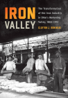 Iron Valley: The Transformation of the Iron Industry in Ohio’s Mahoning Valley, 1802–1913 (Trillium Books ) Cover Image