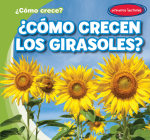 ¿Cómo Crecen Los Girasoles? (How Do Sunflowers Grow?) By Kathleen Connors, Diana Osorio (Translator) Cover Image