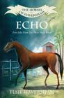 Echo: True Tales From The Horse Show World By Elsie Haversham Cover Image