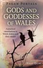 Pagan Portals - Gods and Goddesses of Wales: A Practical Introduction to Welsh Deities and Their Stories By Halo Quin Cover Image