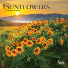 Sunflowers 2024 Mini 7x7 By Browntrout (Created by) Cover Image