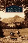 Beartooth Mountains By Patty Hooker Cover Image