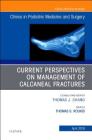 Current Perspectives on Management of Calcaneal Fractures, an Issue of Clinics in Podiatric Medicine and Surgery: Volume 36-2 (Clinics: Orthopedics #36) Cover Image
