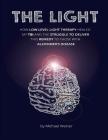 The Light: How Low Level Light Therapy (LLLT) healed my Traumatic Brain Injury (TBI), and the struggle to deliver this remedy to By Michael Weiner Cover Image