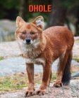 Dhole: Amazing Photos & Fun Facts Book About Dhole For Kids Cover Image