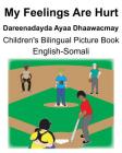 English-Somali My Feelings Are Hurt/Dareenadayda Ayaa Dhaawacmay Children's Bilingual Picture Book By Suzanne Carlson (Illustrator), Richard Carlson Cover Image