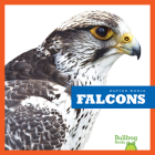 Falcons Cover Image