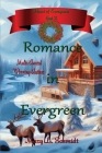 Romance in Evergreen By Mary L. Schmidt Cover Image