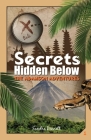 Secrets Hidden Below, the Adamson Adventures 1 Cover Image