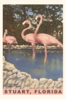 Vintage Journal Flamingos, Stuart, Florida By Found Image Press (Producer) Cover Image