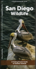San Diego Wildlife: A Folding Pocket Guide to Familiar Animals By Waterford Press Cover Image