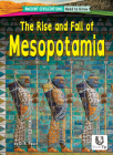 The Rise and Fall of Mesopotamia Cover Image