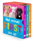 Baby Animals First Box Set : First ABC Book, First 123 Book, and First Colors Book (Baby Animals First Series) By Alexandra Claire Cover Image