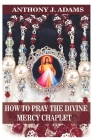 How to Pray the Divine Mercy Chaplet Cover Image