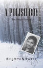 A Polish Boy: The Youngest Partisan Cover Image