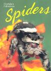 Florida's Fabulous Spiders Cover Image