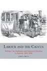 Labour and the Caucus: Working-Class Radicalism and Organised Liberalism in England, 1868-1888 (Studies in Labour History Lup) By Owen Cover Image