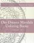Day Dreams Mandala Coloring Books: Volume 14 By Raymond J. Jones (Illustrator), Raymond J. Jones Cover Image