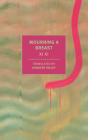Mourning a Breast By Xi Xi, Jennifer Feeley (Translated by) Cover Image