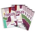 Forged: Faith Refined, Volume 5 Small Group 5-Pack By Lifeway Kids Cover Image
