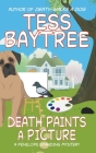 Death Paints a Picture By Tess Baytree Cover Image
