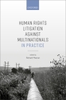 Human Rights Litigation Against Multinationals in Practice Cover Image