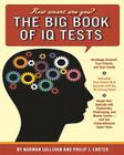 The Big Book of IQ Tests Cover Image