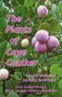 The Plants of Caye Caulker By Jacob Rietsema, Dorothy Beveridge Cover Image
