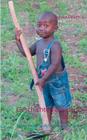 Geschichten aus dem Busch: Meine Erlebnisse als Entwicklungshelfer in Uganda Cover Image