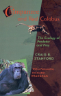 Chimpanzee and Red Colobus: The Ecology of Predator and Prey, with a Foreword by Richard Wrangham Cover Image