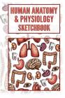 Human Anatomy & Physiology Sketchbook By Agendasrx LLC Cover Image