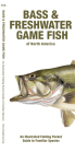Bass & Freshwater Game Fish of North America: An Illustrated Folding Pocket Guide to Familiar Species Cover Image