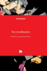 Recrystallization By Krzysztof Sztwiertnia (Editor) Cover Image
