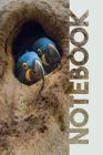 Notebook: Hyacinth Macaw Cool Composition Book for Fans of Parrot Types Cover Image