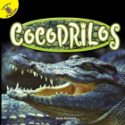 Cocodrilos: Crocodiles (Reptiles!) By Darla Duhaime Cover Image